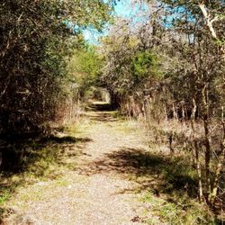 Rocky Creek Park