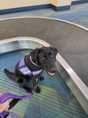 St. Pete–Clearwater International Airport by null