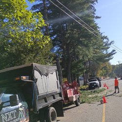 NXT Landscaping & Tree Service - Cleaning up time