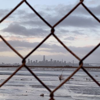 Faction Brewing - View of SF! - Breweries Near Me - Alameda, California Faction Brewing - View of SF! - Breweries Near Me - Alameda, California