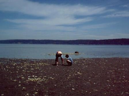 Dosewallips State Park by null