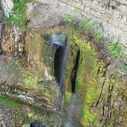 Tews Falls