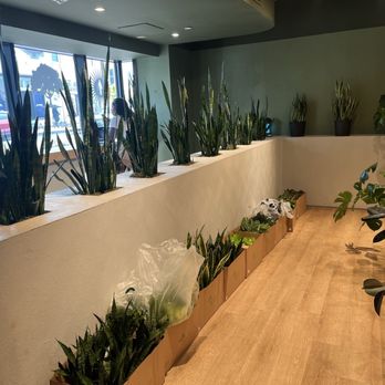 Grounded - Cafes Near Me - Washington, DC, District of Columbia