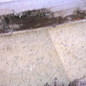 Mallard Crossing - Toxic Black Mold - Apartments Near Me - Loveland, Ohio