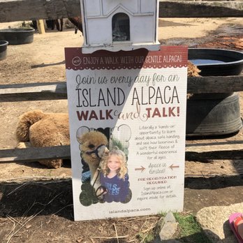 Island Alpaca - Knitting Supplies Near Me - Oak Bluffs, Massachusetts