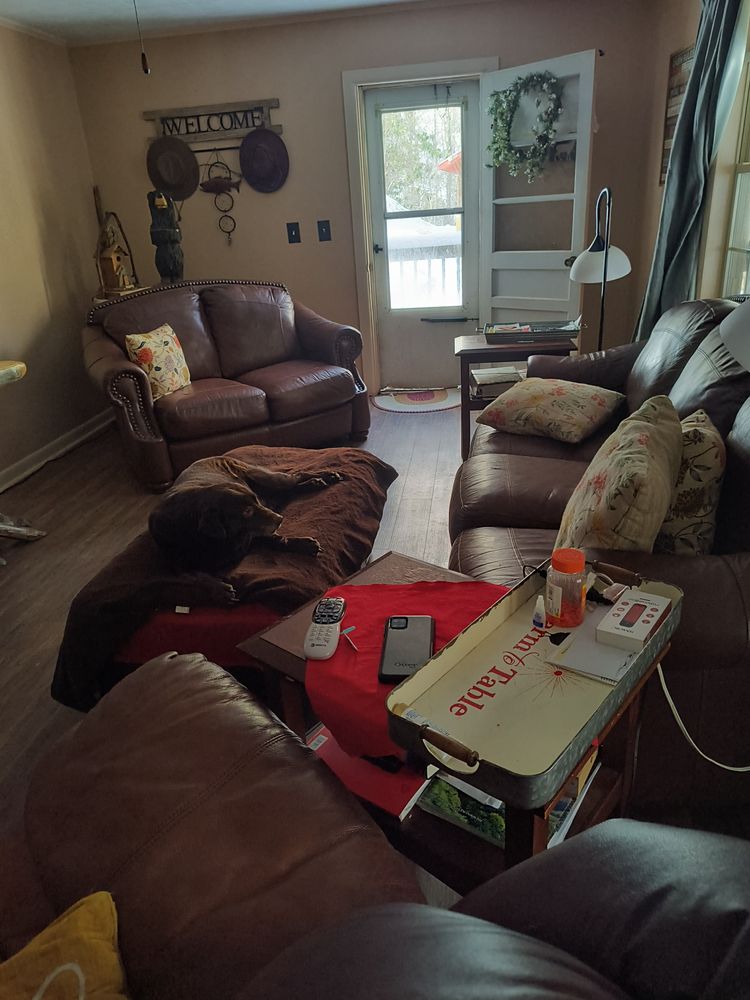 ANDREWS VETERINARY HOSPITAL Updated August 2024 1575 Main St