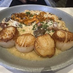 Scallops
