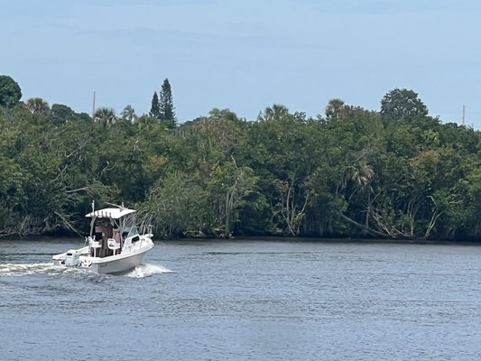 River Park Marina by null
