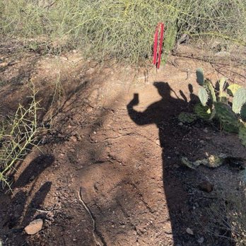TrueBug Pest Solutions - After packrat nest removal - Pest Control Near Me - Tucson, Arizona