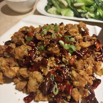 Sichuan Fish Restaurant - Szechuan Near Me - North Miami Beach, Florida Sichuan Fish Restaurant - Szechuan Near Me - North Miami Beach, Florida