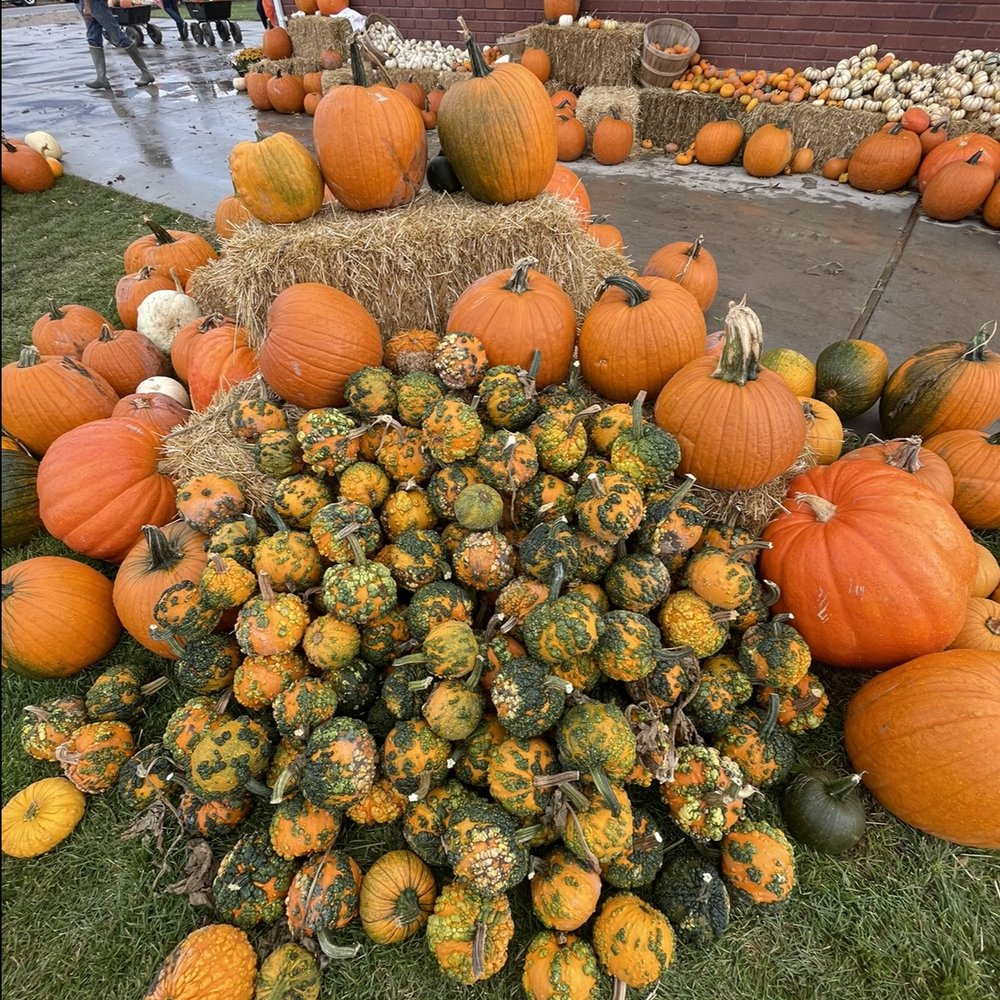 Mabey’s Pumpkin Patch - Pumpkin Patches Near Me - South Jordan, Utah Mabey’s Pumpkin Patch - Pumpkin Patches Near Me - South Jordan, Utah