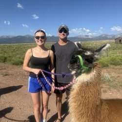 Llama Trekking By Lookin Up Outfitters