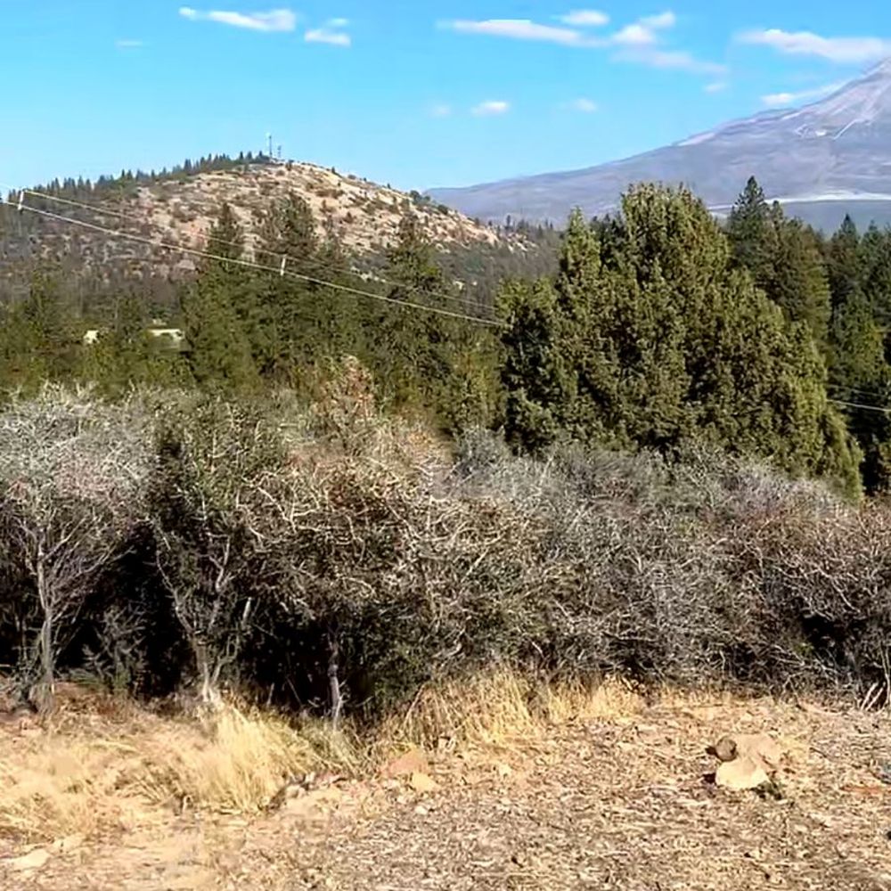 Trailer Lane Campground - RV Parks Near Me - Weed, California Trailer Lane Campground - RV Parks Near Me - Weed, California