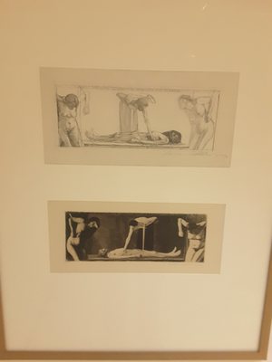 Käthe Kollwitz Museum by null