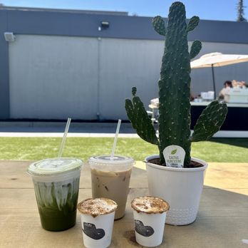 Cowboy Coffee - Coffee & Tea Near Me - Sunnyvale, California Cowboy Coffee - Coffee & Tea Near Me - Sunnyvale, California