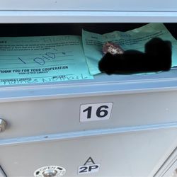 United States Postal Service
