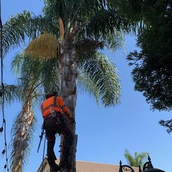 Nolasco Landscaping & Tree Services