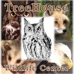 Treehouse Wildlife Center