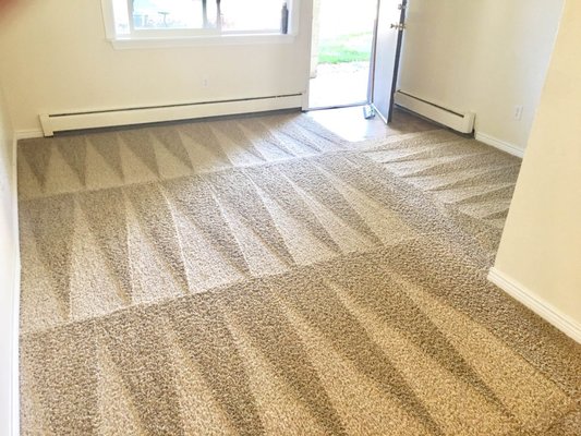 Carpet Cleaning - This project was a full top-to-bottom carpet and tile deep clean for a home in Jupiter that had heavy traffic, pet spots, and built-up dirt from years of wear.

We started with a full walkthrough and identified all problem areas, including high-traffic lanes, pet odor zones, and older staining. Using our truck-mount system, we performed a deep hot-water extraction with pre-treatments, spot removal, and deodorizing.

Tile and grout were restored using high-pressure steam cleaning, followed by a neutral rinse to bring back the original color and shine. Carpet fibers were lifted, softened, and restored, leaving the entire home brighter and noticeably fresher.

The customer was shocked at how new everything looked when we were done. This project is a great example of how our equipment, experience, and attention to detail can completely transform a home in a single visit.