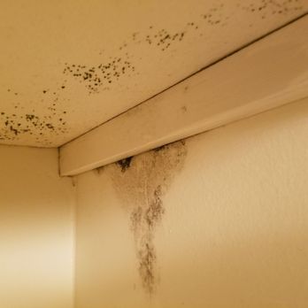 Stone Hill Apartments - Mold everywhere - Apartments Near Me - Killeen, Texas Stone Hill Apartments - Mold everywhere - Apartments Near Me - Killeen, Texas