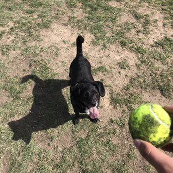 Apple Valley Dog Park - Plenty of room for endless amount of fetch - Dog Parks Near Me - Apple Valley, California Apple Valley Dog Park - Plenty of room for endless amount of fetch - Dog Parks Near Me - Apple Valley, California