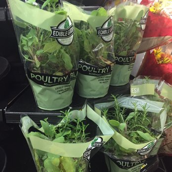 Walmart Supercenter - Fresh herbs - Department Stores Near Me - Brockport, New York Walmart Supercenter - Fresh herbs - Department Stores Near Me - Brockport, New York