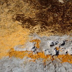 Firehole Lake Drive - Bacteria causes the orange coloring.