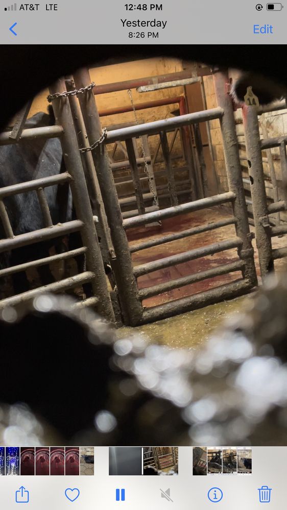 ARCHER’S CATERING II Updated September 2024 10 Photos 259 S