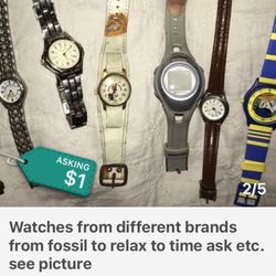 Loyal Order of the Moose Lodge 1880 - Several different varieties of watches