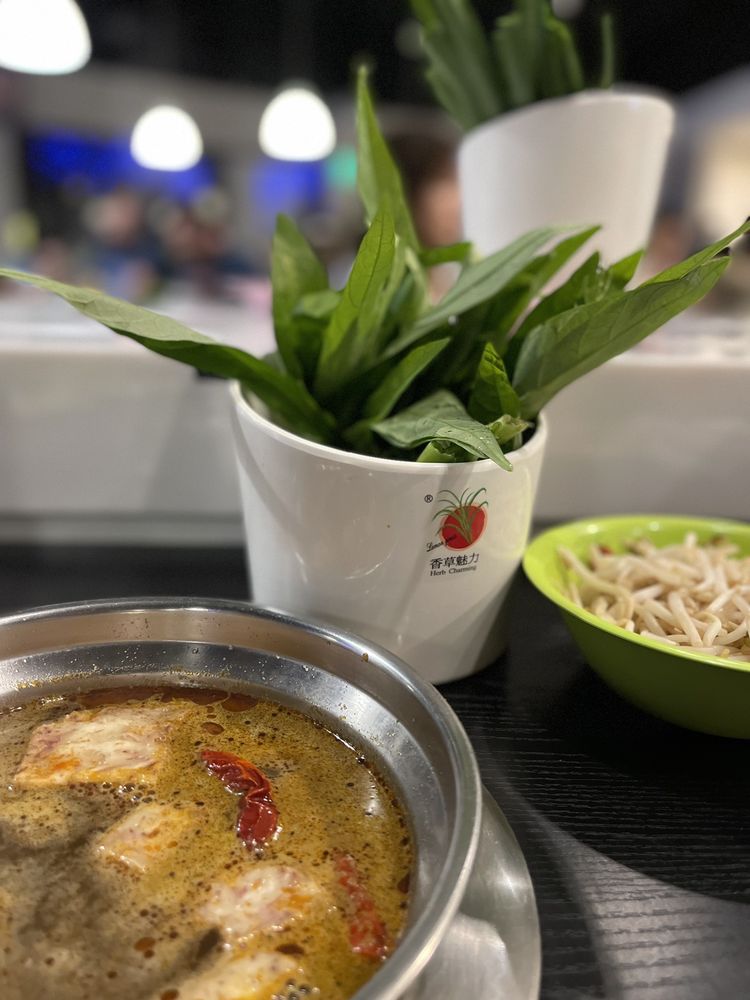 Lemongrass Hot Pot