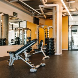 Vita Fitness & Physical Therapy - Gym in Third Ward