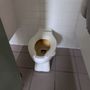 Photo of Rockford Rest Area 525 SB