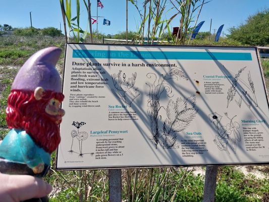 Alabama Aquarium at the Dauphin Island Sea Lab by null