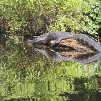 King's Landing - Rafting/Kayaking Near Me - Apopka, Florida