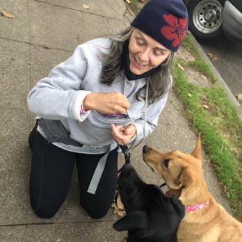 Park-A-Pup Kennels - Pet Sitting Near Me - San Rafael, California Park-A-Pup Kennels - Pet Sitting Near Me - San Rafael, California