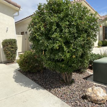 Big Robs Gardening - Front Side yard - Gardeners Near Me