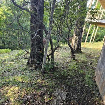 Chavez Landscaping Services - After - Landscaping Near Me