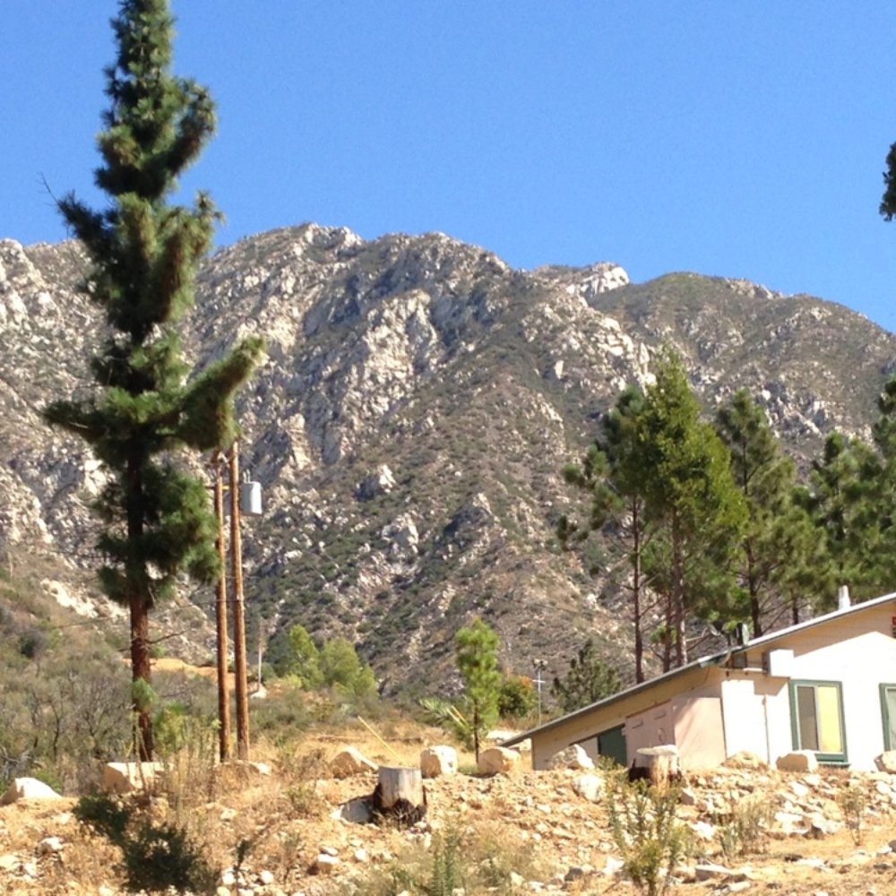 Angeles National Forest - Parks Near Me - Arcadia, California