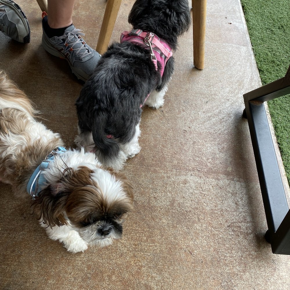 Puppers Puppers