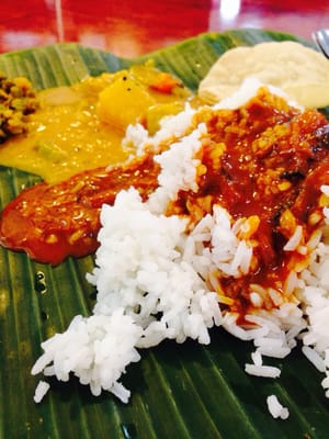 Samy's Curry Restaurant by null