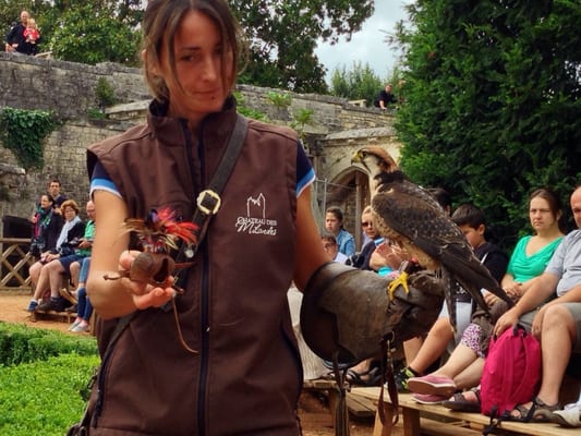 Château des Milandes by null