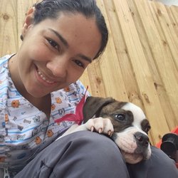 Marcela Pet Lover Place