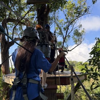 NorthShore Zipline - Got to cross a hanging bridge to go to the higher levels. Super safe and still connected the entire way to the zip lines. - Tours Near Me - Haiku, Hawaii