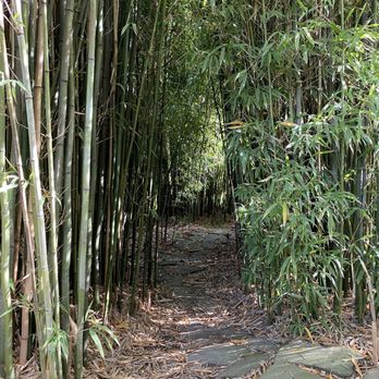 Bamboo Giant Nursery and Gardens - Nurseries & Gardening Near Me - Aptos, California Bamboo Giant Nursery and Gardens - Nurseries & Gardening Near Me - Aptos, California