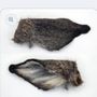 Photo of Papa D’s Bones