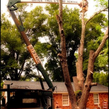 Drye's Tree & Stump - Tree Services Near Me - Alexis, North Carolina Drye's Tree & Stump - Tree Services Near Me - Alexis, North Carolina