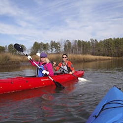 Bay Country Kayaking
