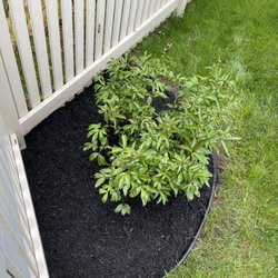Tmc Lawn Care & Landscaping