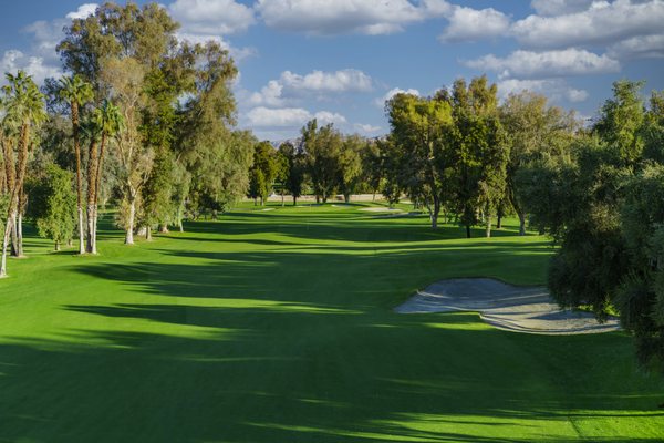 Desert Island Country Club by null