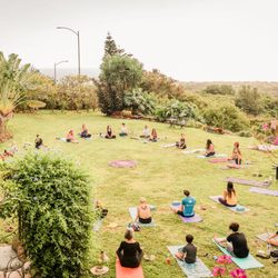 Awakened Mana - RISE retreat, Makaha Valley, Oahu